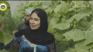 مصنع اسمدة ابن سينا…صنع في العراق