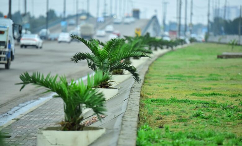 توقعات الطقس للأيام الأربعة المقبلة